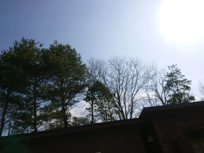 f:id:roukenhome-ann:20190306071048j:plain