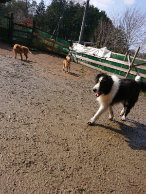 f:id:roukenhome-ann:20190306071053j:plain