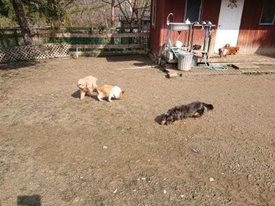 f:id:roukenhome-ann:20190306071114j:plain