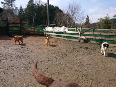 f:id:roukenhome-ann:20190306071146j:plain
