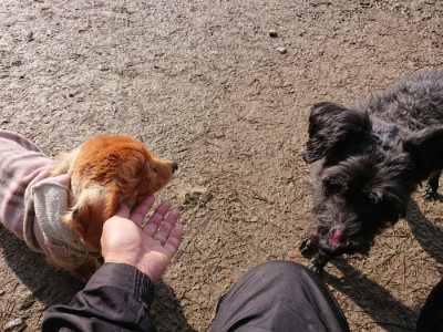 f:id:roukenhome-ann:20190306071203j:plain