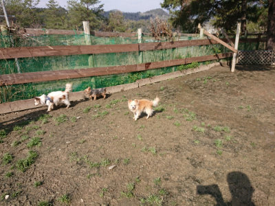 f:id:roukenhome-ann:20190306071209j:plain