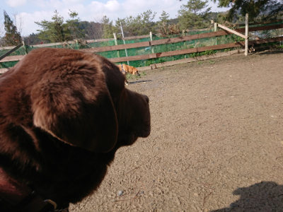 f:id:roukenhome-ann:20190306071219j:plain