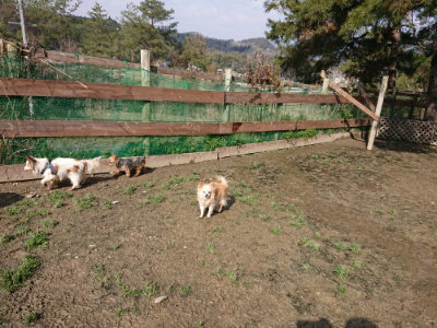 f:id:roukenhome-ann:20190306071243j:plain