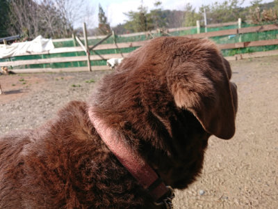 f:id:roukenhome-ann:20190306071249j:plain