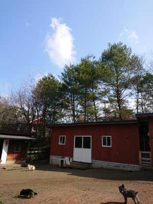 f:id:roukenhome-ann:20190306071315j:plain