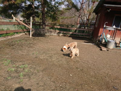 f:id:roukenhome-ann:20190306071646j:plain