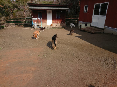 f:id:roukenhome-ann:20190306071657j:plain