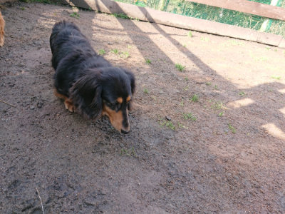 f:id:roukenhome-ann:20190306071708j:plain