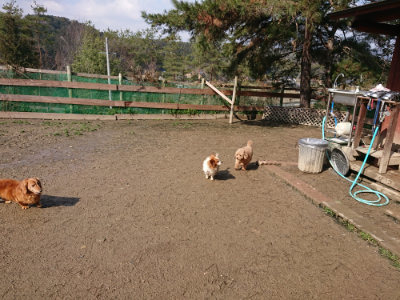 f:id:roukenhome-ann:20190306071719j:plain