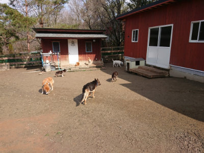 f:id:roukenhome-ann:20190306071724j:plain