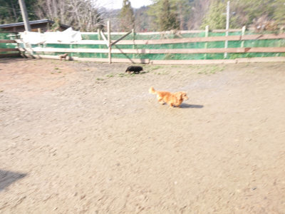 f:id:roukenhome-ann:20190306071736j:plain
