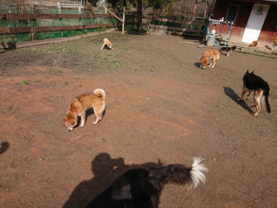 f:id:roukenhome-ann:20190306071747j:plain