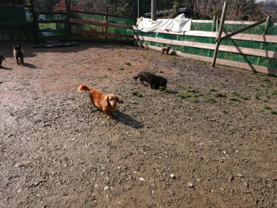 f:id:roukenhome-ann:20190306071757j:plain