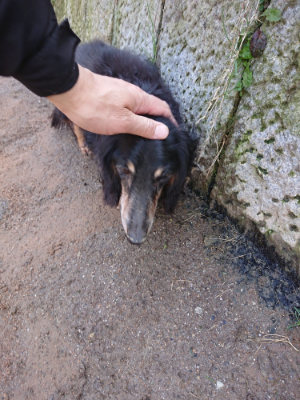 f:id:roukenhome-ann:20190306071817j:plain
