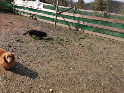 f:id:roukenhome-ann:20190306071836j:plain