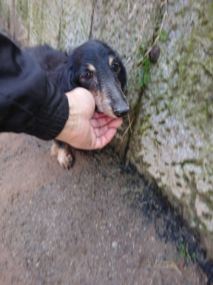 f:id:roukenhome-ann:20190306071846j:plain