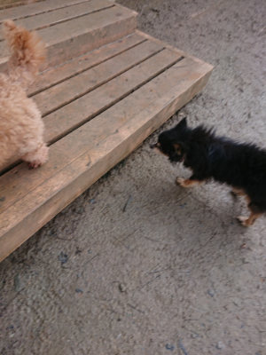 f:id:roukenhome-ann:20190306071924j:plain
