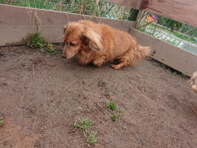 f:id:roukenhome-ann:20190306202301j:plain