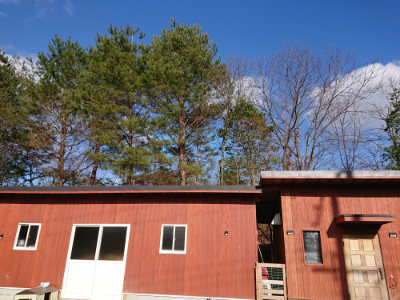 f:id:roukenhome-ann:20190309084800j:plain