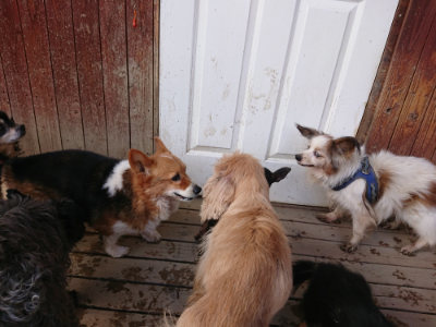 f:id:roukenhome-ann:20190309085401j:plain