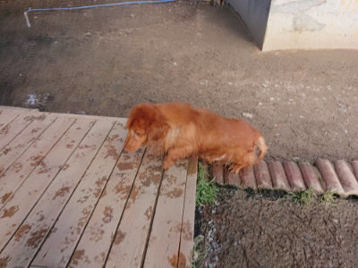 f:id:roukenhome-ann:20190309142231j:plain f:id:roukenhome-ann:20190309142231j:plain