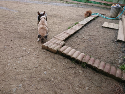 f:id:roukenhome-ann:20190310202912j:plain f:id:roukenhome-ann:20190310202912j:plain