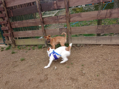 f:id:roukenhome-ann:20190310203145j:plain f:id:roukenhome-ann:20190310203145j:plain