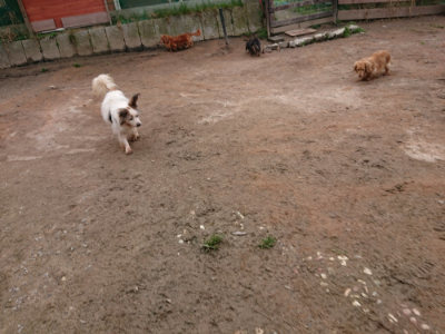 f:id:roukenhome-ann:20190310204512j:plain f:id:roukenhome-ann:20190310204512j:plain