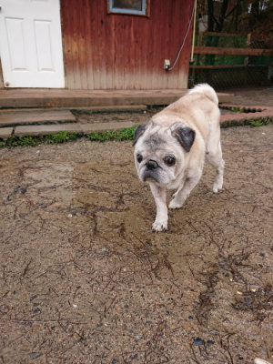 f:id:roukenhome-ann:20190311204617j:plain