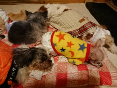 f:id:roukenhome-ann:20190311205101j:plain