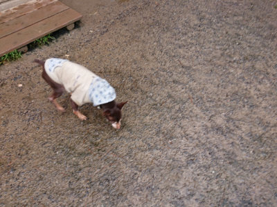 f:id:roukenhome-ann:20190312053232j:plain