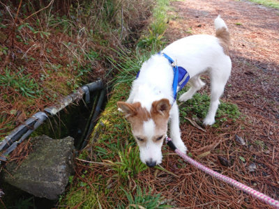 f:id:roukenhome-ann:20190312121942j:plain f:id:roukenhome-ann:20190312121942j:plain