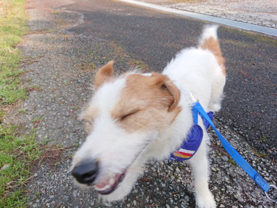 f:id:roukenhome-ann:20190312122022j:plain f:id:roukenhome-ann:20190312122022j:plain