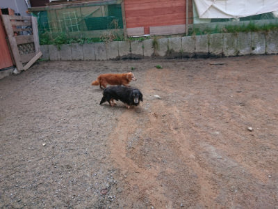 f:id:roukenhome-ann:20190312123032j:plain f:id:roukenhome-ann:20190312123032j:plain