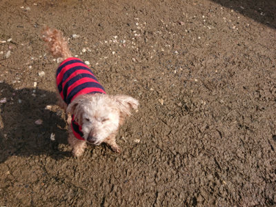 f:id:roukenhome-ann:20190312123039j:plain f:id:roukenhome-ann:20190312123039j:plain