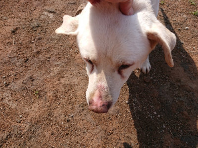 f:id:roukenhome-ann:20190312123119j:plain f:id:roukenhome-ann:20190312123119j:plain