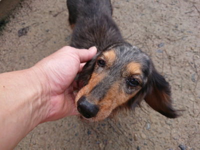 f:id:roukenhome-ann:20190312123208j:plain f:id:roukenhome-ann:20190312123208j:plain