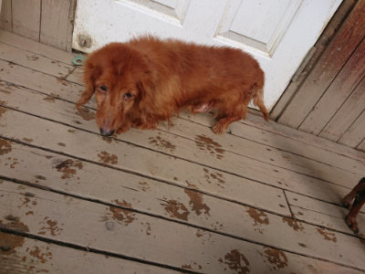 f:id:roukenhome-ann:20190312123532j:plain f:id:roukenhome-ann:20190312123532j:plain