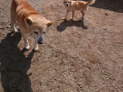 f:id:roukenhome-ann:20190312123543j:plain f:id:roukenhome-ann:20190312123543j:plain