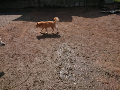 f:id:roukenhome-ann:20190312123559j:plain f:id:roukenhome-ann:20190312123559j:plain