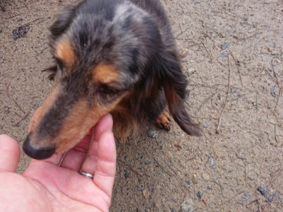 f:id:roukenhome-ann:20190312123721j:plain f:id:roukenhome-ann:20190312123721j:plain