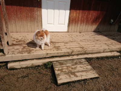 f:id:roukenhome-ann:20190312131301j:plain f:id:roukenhome-ann:20190312131301j:plain