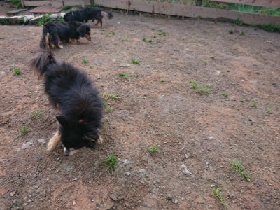 f:id:roukenhome-ann:20190312131331j:plain f:id:roukenhome-ann:20190312131331j:plain