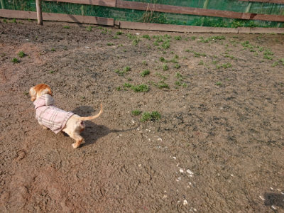 f:id:roukenhome-ann:20190312132332j:plain