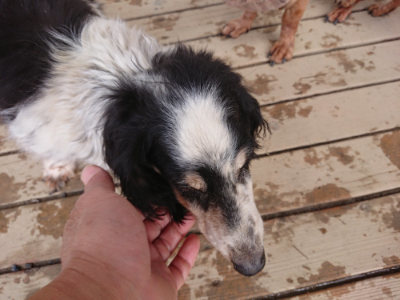 f:id:roukenhome-ann:20190312132351j:plain