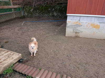 f:id:roukenhome-ann:20190312132524j:plain