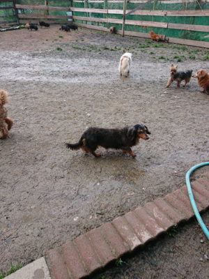 f:id:roukenhome-ann:20190312132810j:plain