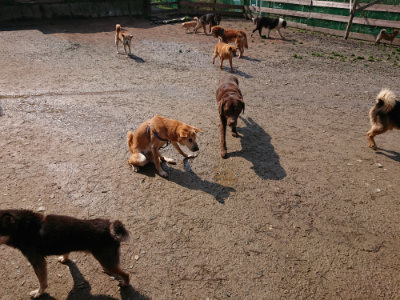 f:id:roukenhome-ann:20190312133032j:plain