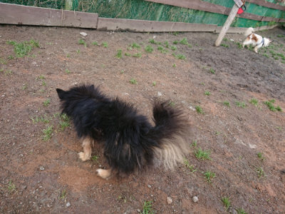 f:id:roukenhome-ann:20190312133047j:plain